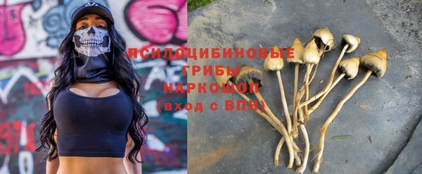 apvp Пестово
