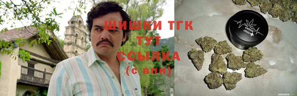 apvp Пестово